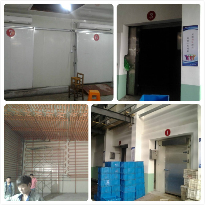 綠安農(nóng)場(chǎng)冷庫(kù)安裝現(xiàn)場(chǎng)