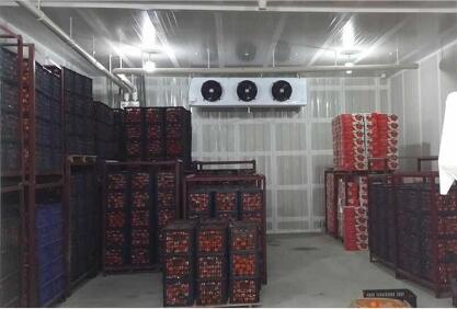 氣調(diào)冷庫(kù)內(nèi)部