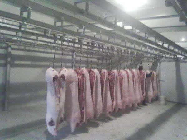 1000噸肉類低溫冷凍庫建造成本需要多少錢？