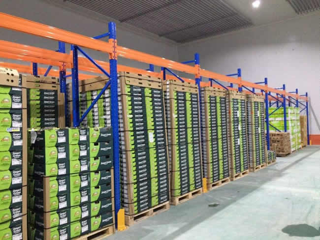 建造一個500平水果冷庫需要多少錢