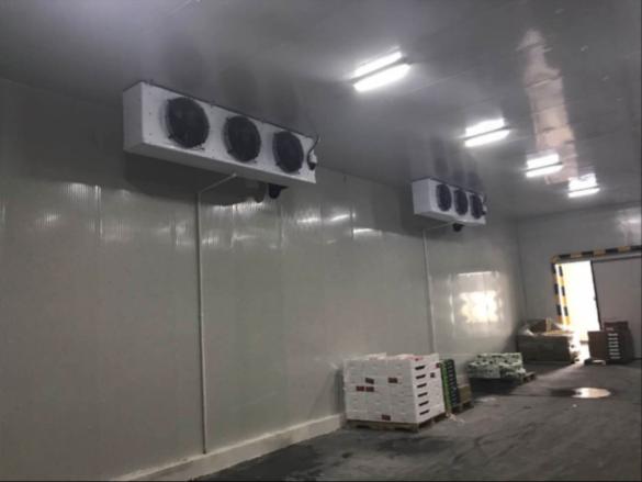 溫州低溫冷庫造價(jià)多少錢一平方？